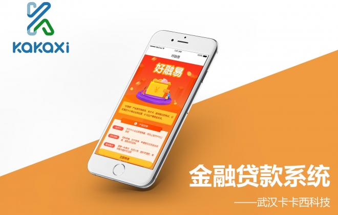 金融贷款业务申请系统开发案例-网站建设案例